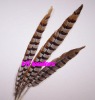 decorative pheasant tail feathers