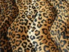 deer print fabric/terry fabrix/plush