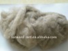 dehaire cashmere fiber/raw cashmere fiber/whit cashmere fiber