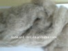 dehaired cashmere fiber