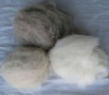 dehaired cashmere fiber