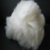 dehaired cashmere fiber