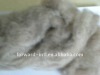 dehaired cashmere fiber