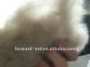 dehaired cashmere fiber 32--34mm