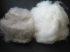 dehaired cashmere fiber goat cashmere