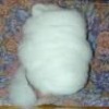 dehaired cashmere fiber white