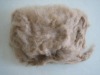 dehaired cashmere fibre