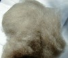 dehaired inner mongolian cashmere fiber brown