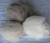 dehaired pashmina fiber