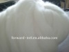 dehaired pure cashmere fiber 100% cashmere fiber