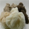 dehaired pure cashmere fibers