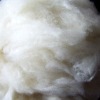 dehaired washed cashmere fiber