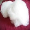 dehaired white cashmere fiber