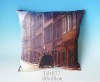 digital printing cushion (cities views)