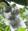 disposable fruit tree protection bag, banana protection bag