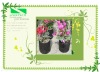 disposable non-woven fabric bag for root protection