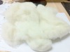 domestic cashmere sheep wool