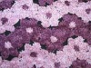 double-colors taffeta embroidery fabric