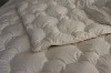 down comforter