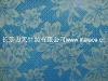 dress lace fabric M5056