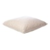 duck feather cushion