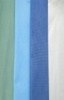 dye spunbond polyester fabric