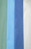 dye spunbond polyester fabric