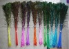 dyeable peacock feather, feather extensions, grizzly rooster feathers