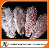 dyed ostrich feather with motif