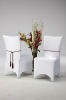 elegance chair cover