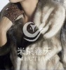 elegant fur coat mink