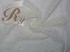 embroidered silk crinkle