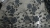 embroidered tulle dress fabric