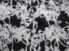 embroidery  lace fabric