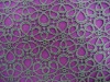 embroidery lace fabric