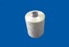 embroidery yarn 110D/2