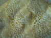 eyelash nylon lace fabric