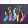 factory's wholesale grizzly rooster feather hair extensions