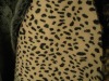 fake Leopard fur