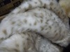 fake fur