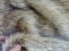 fake fur