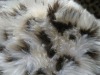 fake fur material