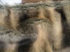 fake mink fur