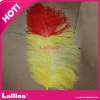 fashion Ostrich feather