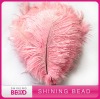 fashion decoration ostrich feather