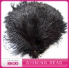 fashion decoration ostrich feather