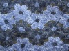 fashion designer fabric embroidered