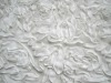fashion fabric for garment