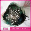 fashion feather headband