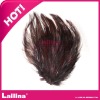 fashion feather,high quality feather